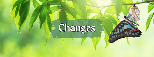 Ch-ch-ch-changes!