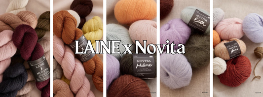 Introducing LAINE x Novita