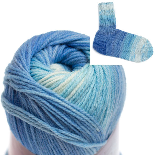 Blossom Fade Sock Yarn